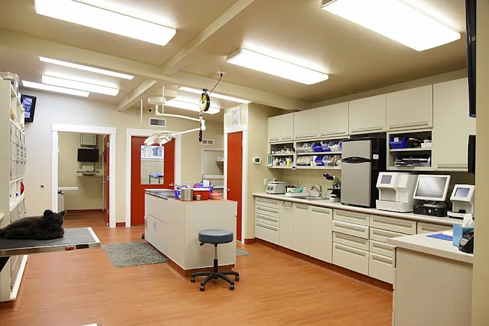 Animal Hospital By the Sea 2