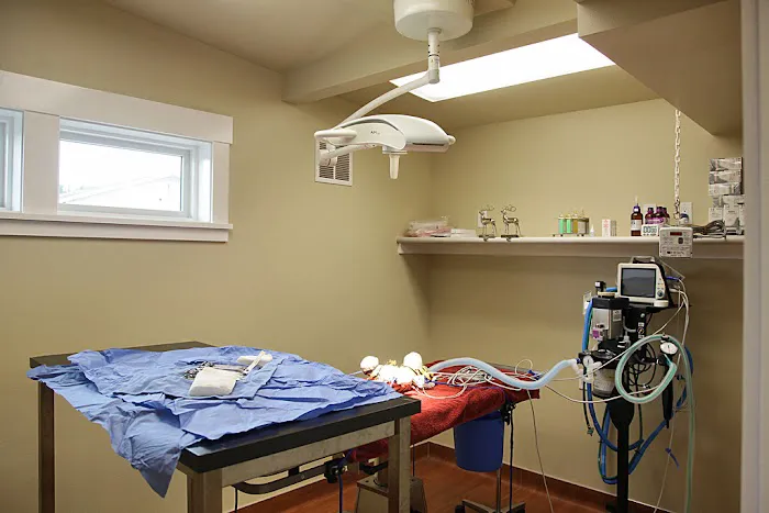 Animal Hospital By the Sea 3