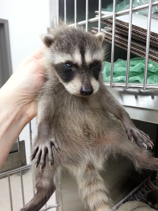 Useless Bay Animal Clinic 3