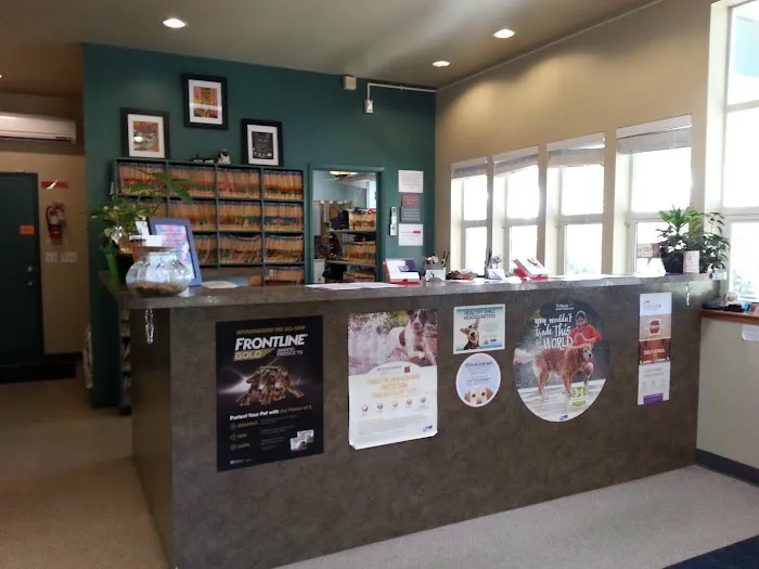 Useless Bay Animal Clinic 4