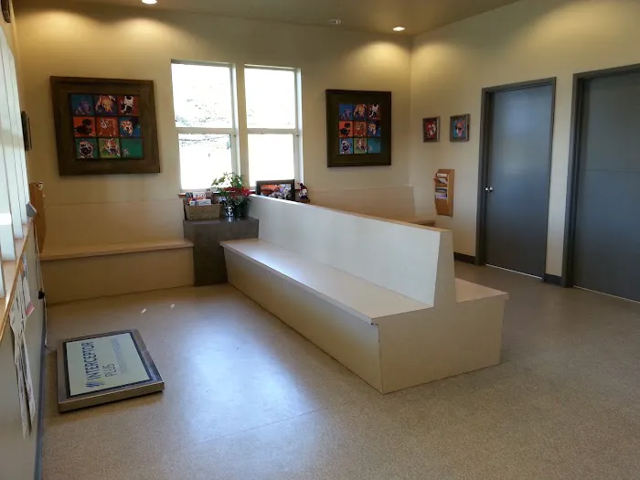 Useless Bay Animal Clinic 5