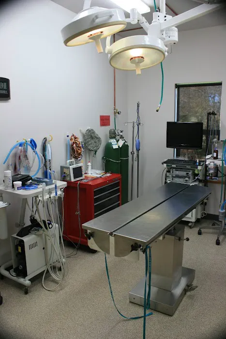 Useless Bay Animal Clinic 7