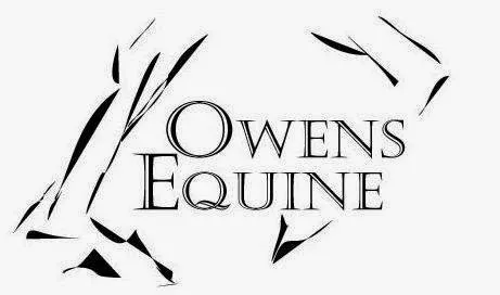 Owens Equine 2