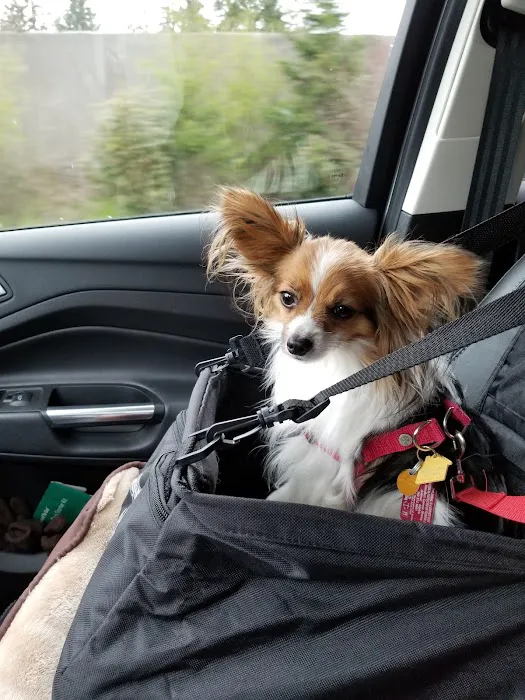 Snoqualmie Valley Animal Hospital 10