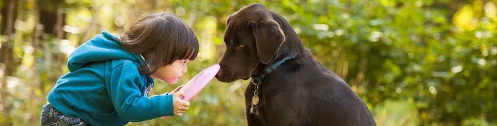 Snoqualmie Valley Animal Hospital 9