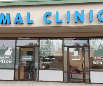 Animal Clinic Of Benson