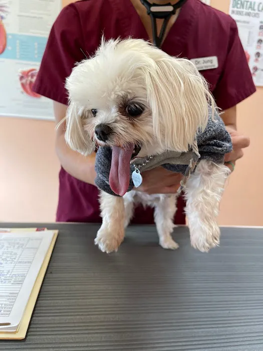 Animal Clinic Of Benson 6