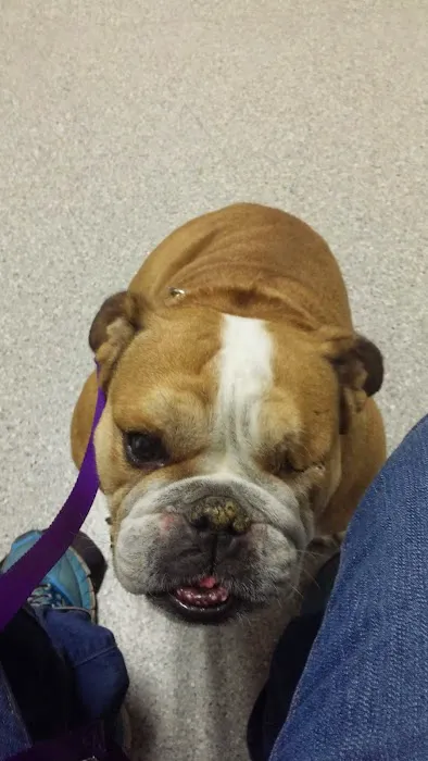 Clover Veterinary Hospital 4