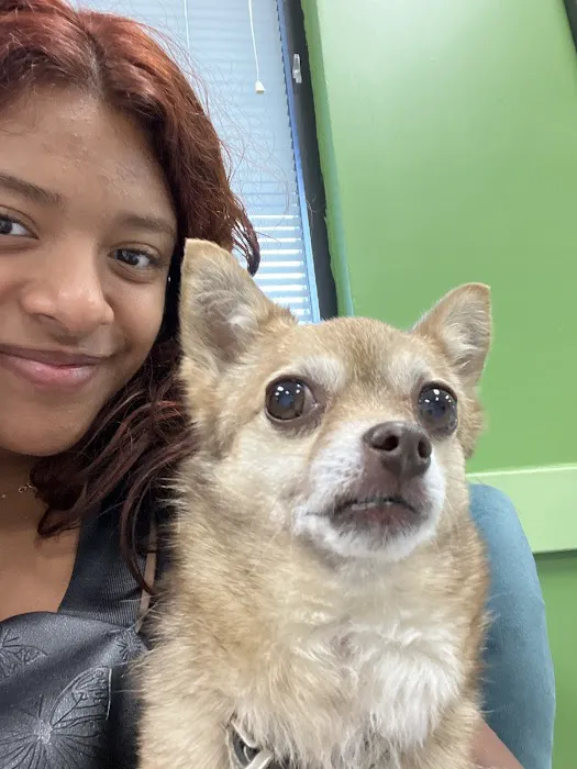Clover Veterinary Hospital 6