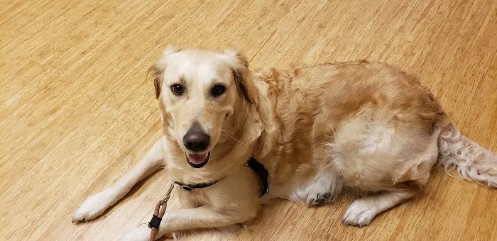 McMonigle Veterinary Hospital 5