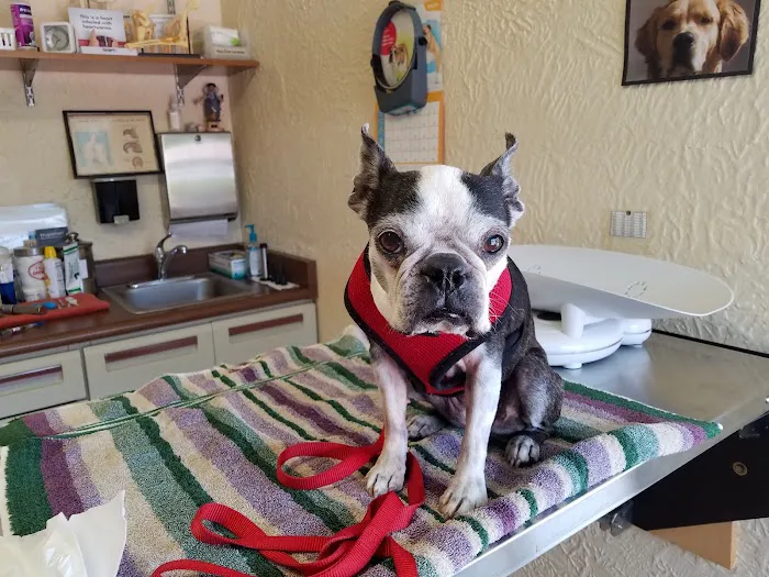 McMonigle Veterinary Hospital 8