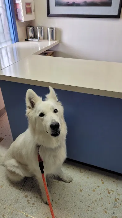 Crestwood Animal Hospital 1