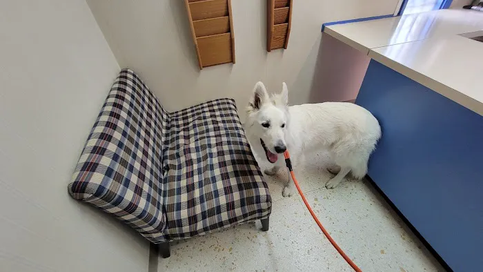 Crestwood Animal Hospital 2