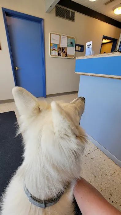 Crestwood Animal Hospital 3