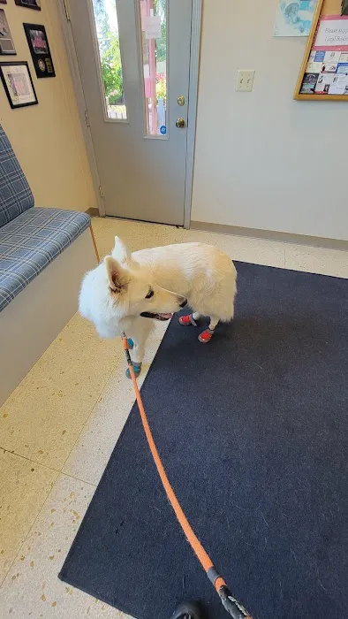 Crestwood Animal Hospital 4