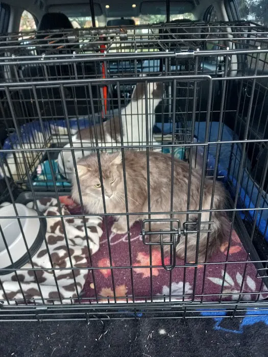 Camden Veterinary Hospital 6