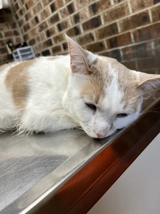 Camden Veterinary Hospital 7