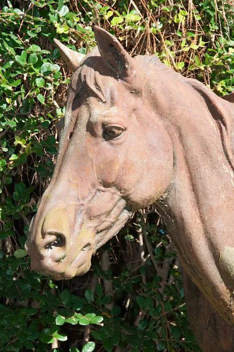 South Carolina Equine Associates Inc 6