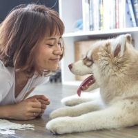 Oyster Creek Animal Hospital ico
