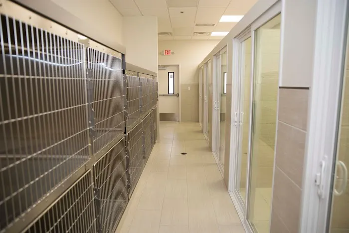 Oyster Creek Animal Hospital 4