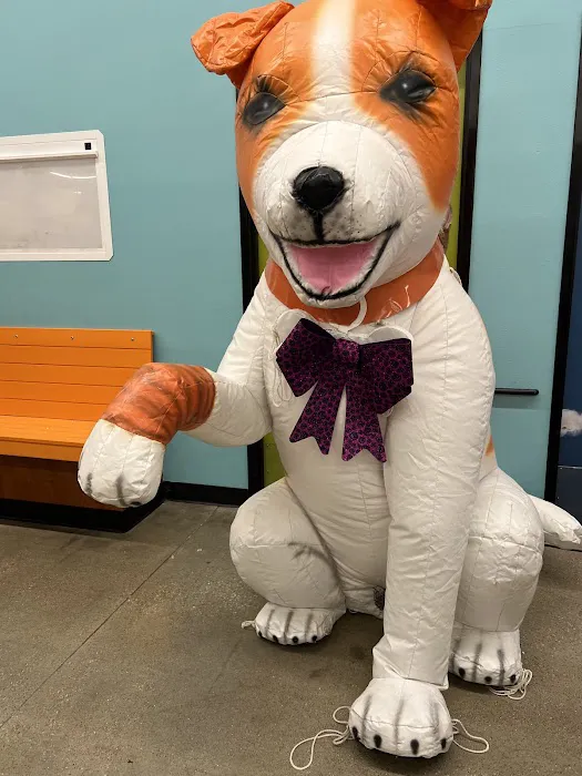 Banfield Pet Hospital 1