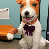 Banfield Pet Hospital ico