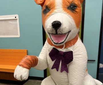 Banfield Pet Hospital