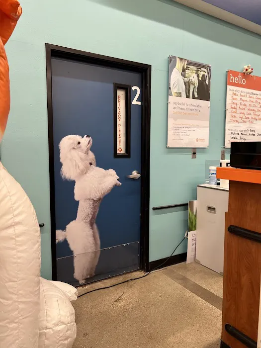 Banfield Pet Hospital 7