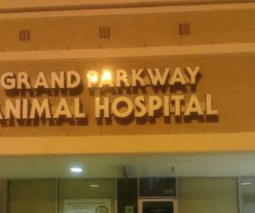 Grand Parkway Animal Hospital
