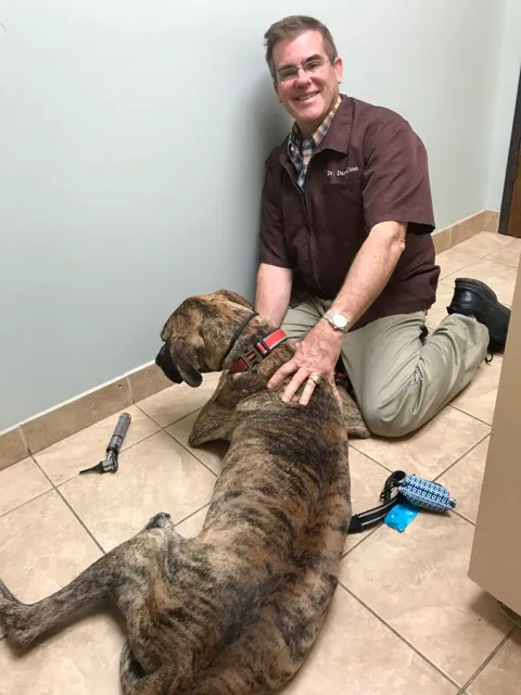 Grand Parkway Animal Hospital 12