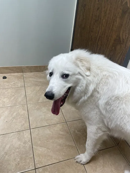 Grand Parkway Animal Hospital 12