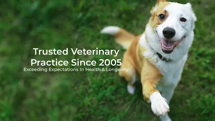 Pet Medical Center of Katy 8
