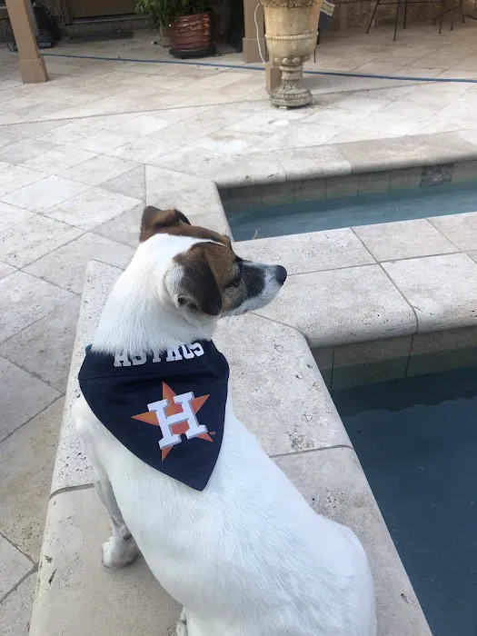 Pet Medical Center of Katy 3