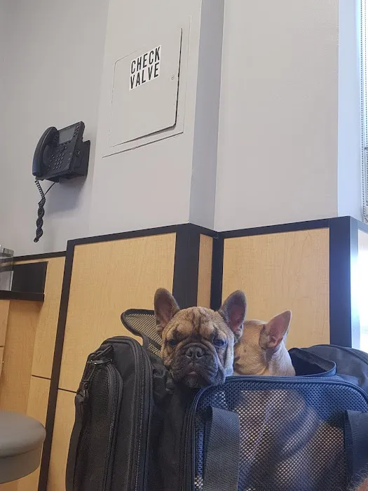 Banfield Pet Hospital 3