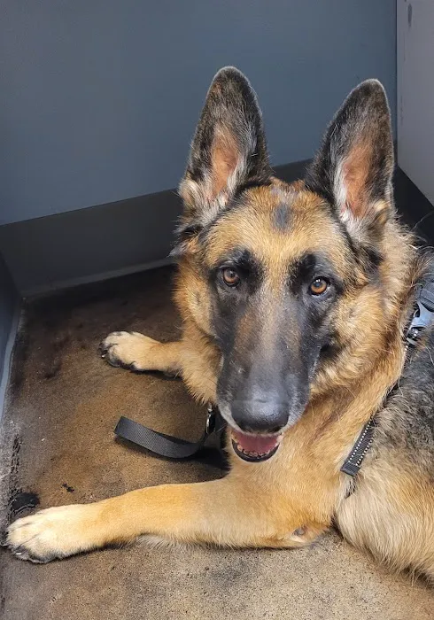 Brazos Bend Animal Hospital 12