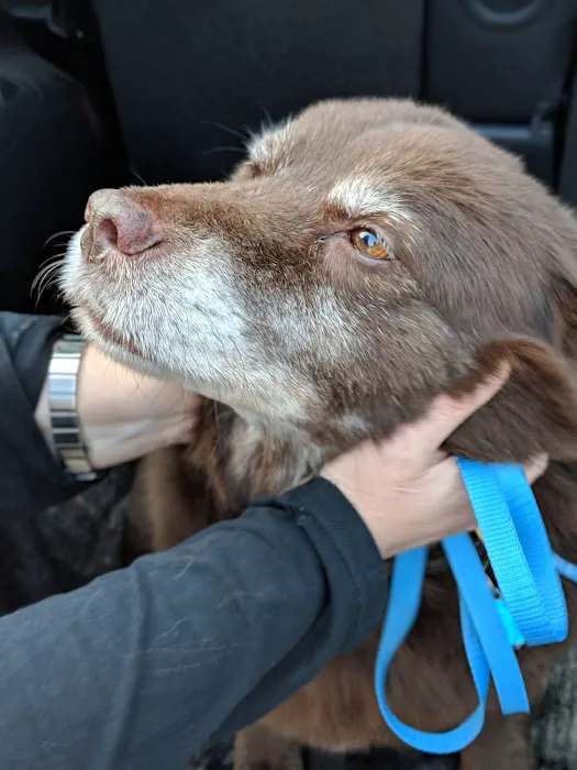 Brazos Bend Animal Hospital 12
