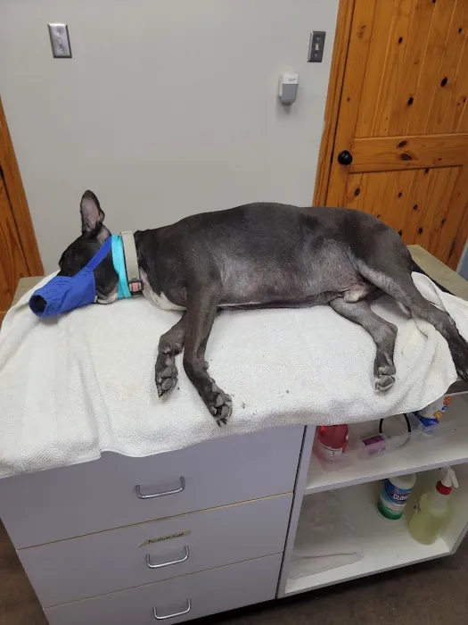 Brazos Bend Animal Hospital 12