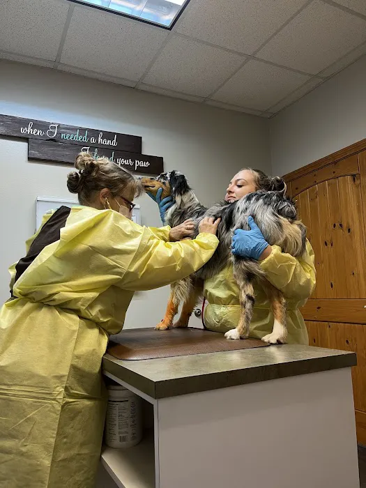 Brazos Bend Animal Hospital 12