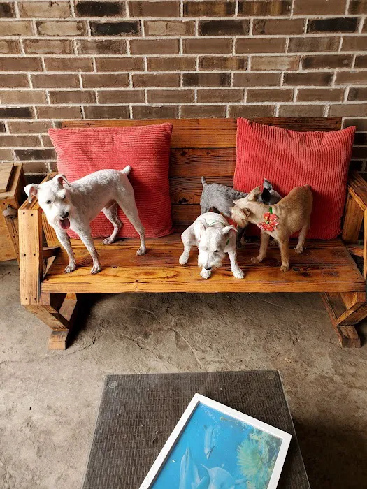 Brazos Bend Animal Hospital 12