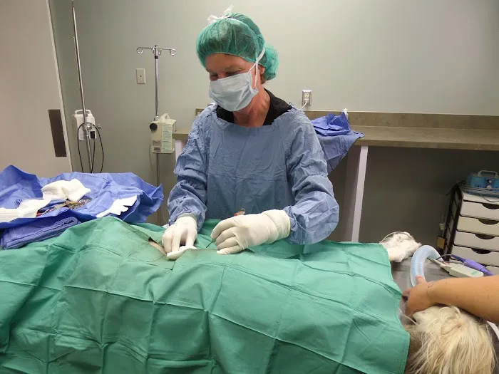 Brazos Bend Animal Hospital 12
