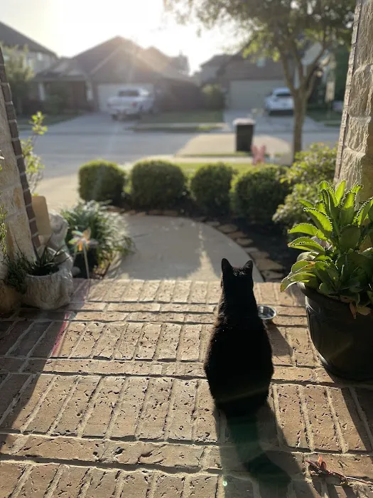 Brazos Bend Animal Hospital 12