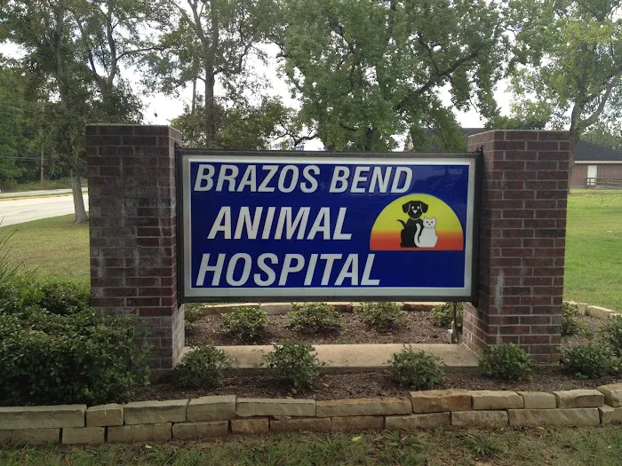 Brazos Bend Animal Hospital 12