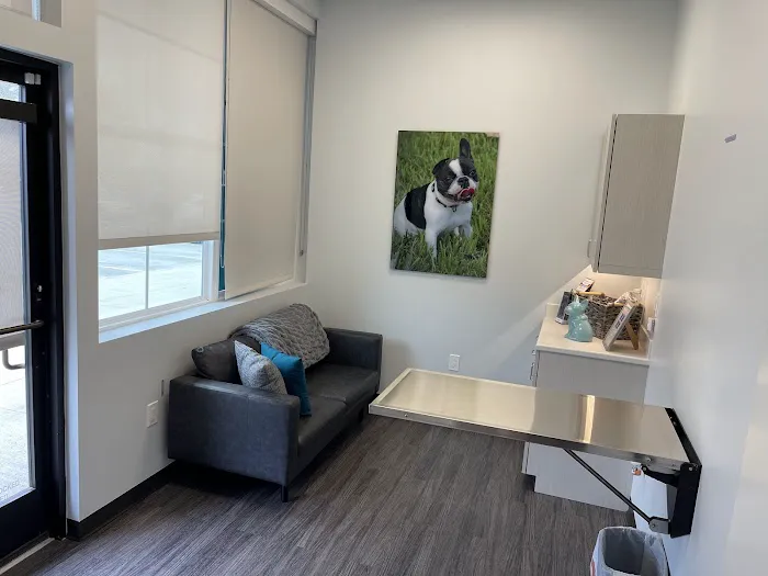 Bella Terra Animal Hospital 2