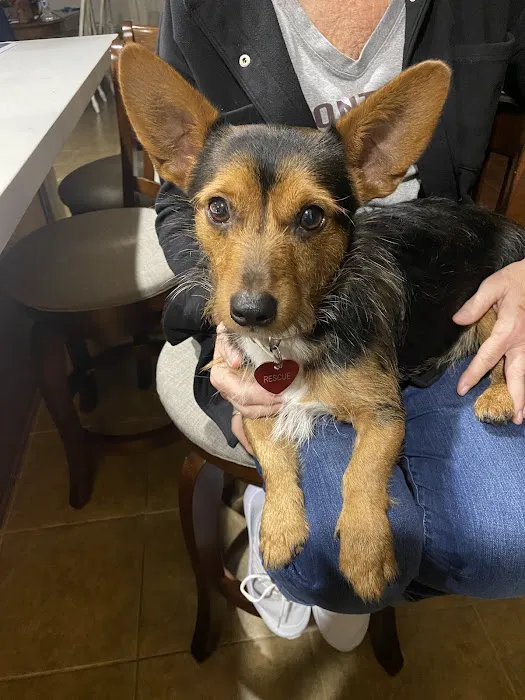 Bella Terra Animal Hospital 4
