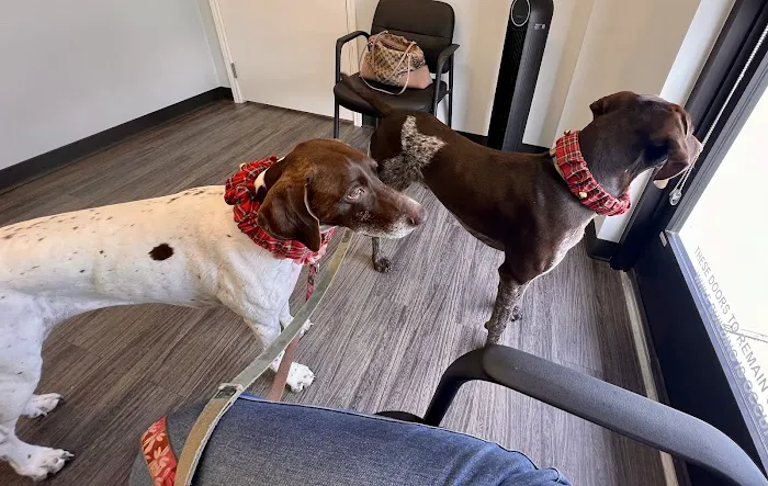 Bella Terra Animal Hospital 5