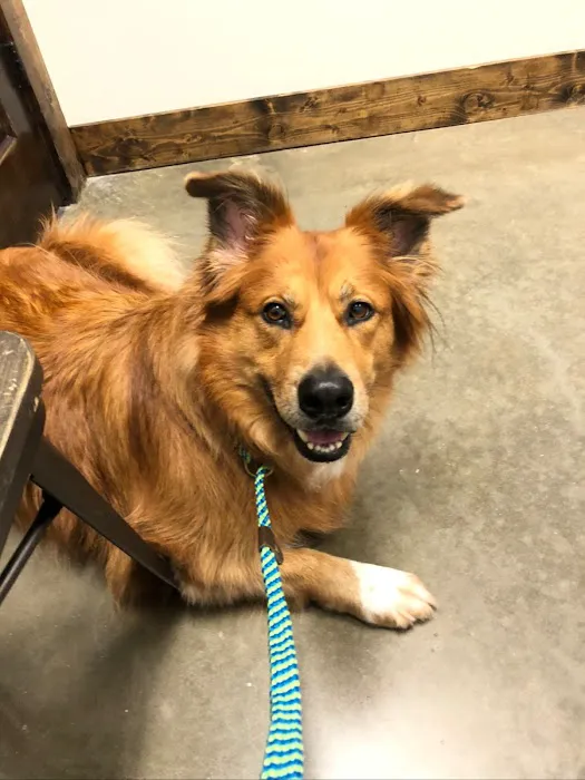 Foster Creek Veterinary Hospital 12