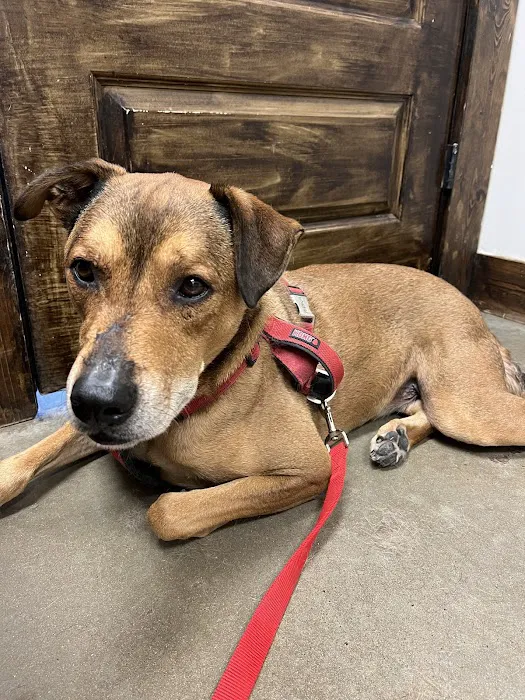 Foster Creek Veterinary Hospital 12