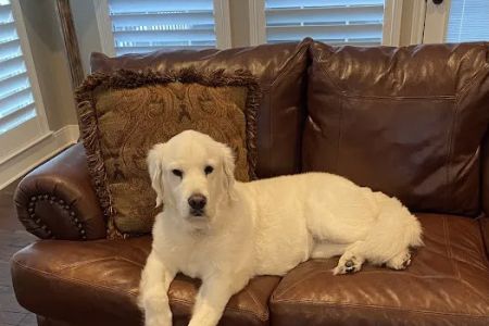 Foster Creek Veterinary Hospital