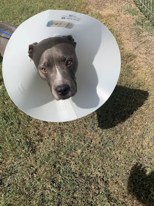 Foster Creek Veterinary Hospital 12