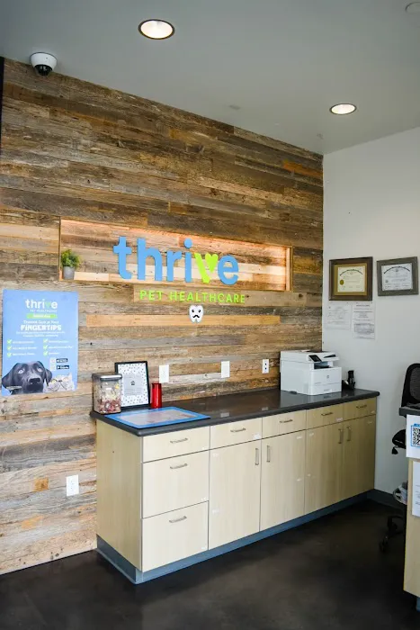 Thrive Pet Healthcare - Falcon 9
